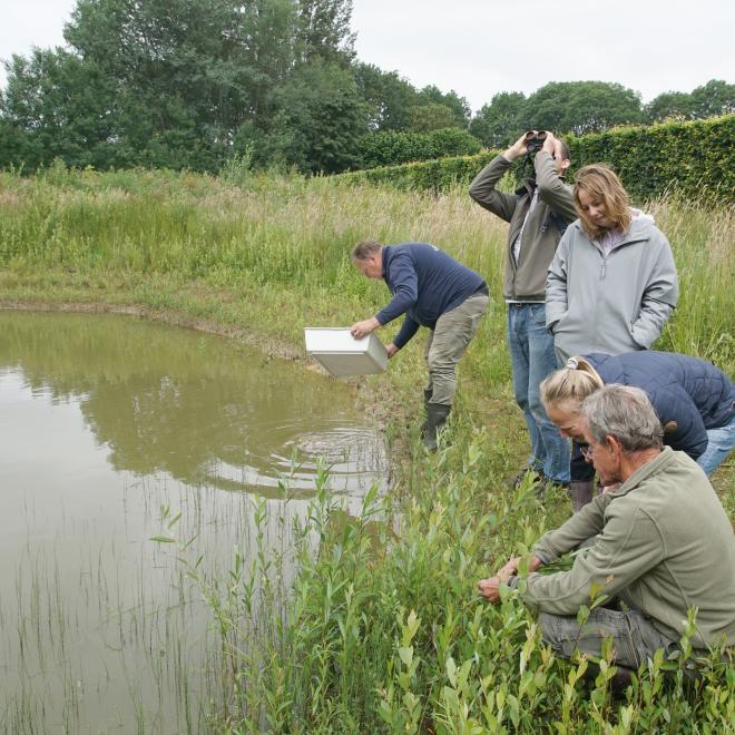 Deelnemers aan de Bioblitz onderzoeken wat er onder water leeft