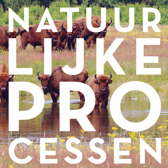 Natuurlijke processen in Nederland