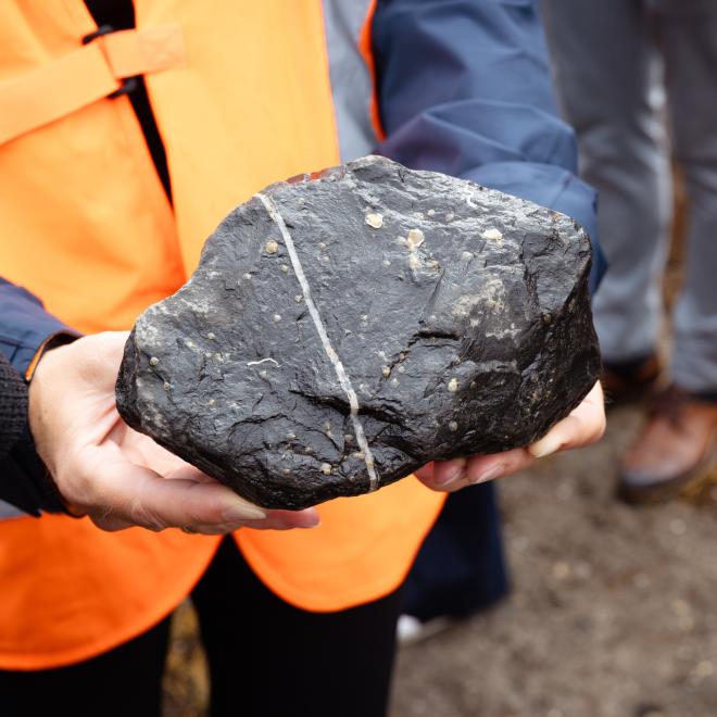 'Spat on rock' - Steen met jonge oesters erop die uit kunnen groeien tot rif