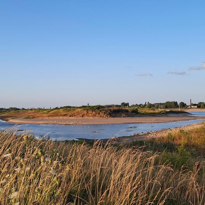 Laag water bij de inlaat van de Spiegelwaal