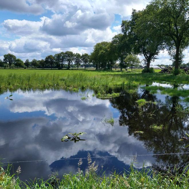 Veenhuizerveld