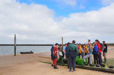 Het Seascape Collectief langs de Brouwersdam 