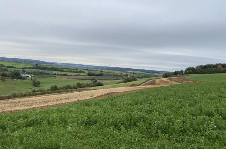 Buien beter bergen in Roodborn