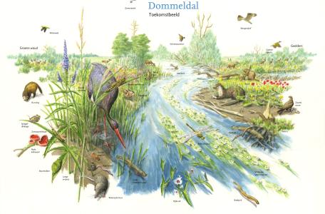 Dommeldal toekomstbeeld