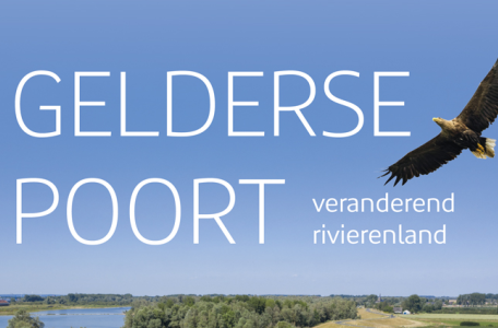 uitsnede cover boek vwn