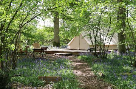 Glamping Knepp Wilding