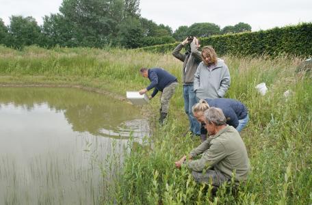 Deelnemers aan de Bioblitz onderzoeken wat er onder water leeft