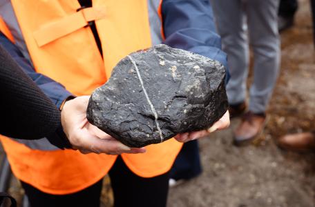 'Spat on rock' - Steen met jonge oesters erop die uit kunnen groeien tot rif