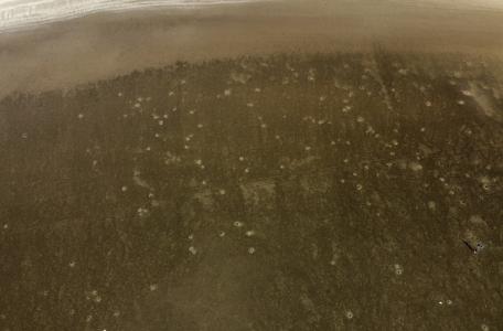 Dronebeeld van de kuilen op de Slikken van Voorne