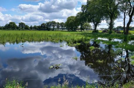 Veenhuizerveld
