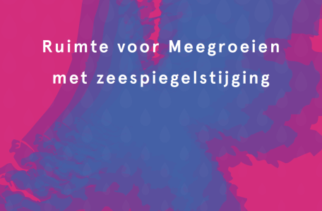 Boek Ruimte voor Meegroeien met zeespiegelstijging