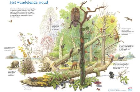 Het wandelende woud