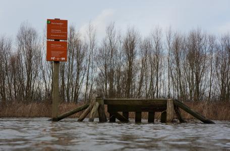 Hoogwater in de Waal, Beuningen 2013