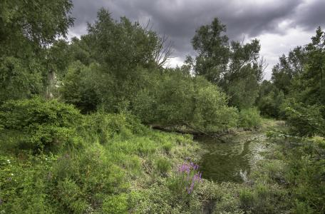 Eiland van Brienenoord. Foto: Gert de Graaf