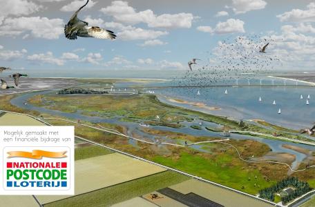 Nieuwe getijdennatuur Haringvliet