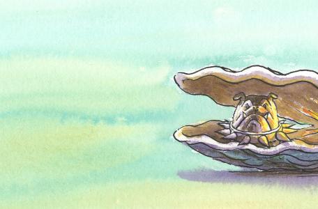 Banner geocache Koester de Oester