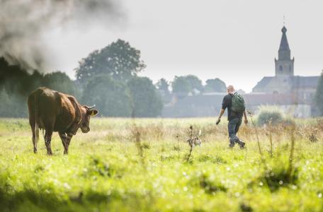 Rode geuzen bij de Geul