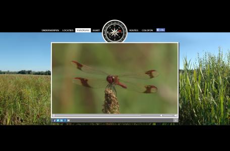 Dwaalfilm Smeetshof libellen