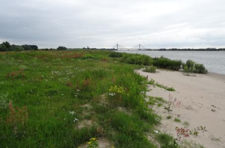 Oeverwal Waal, foto: Gijs Kurstjens