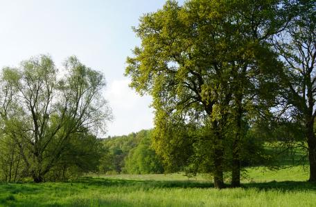 Geuldal