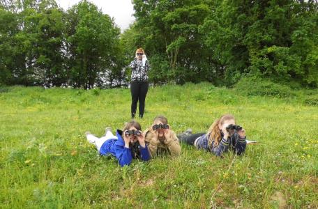 Veldles Borgharen