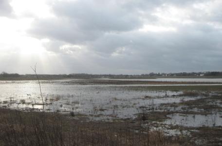 Hoogwater Grensmaas januari 2015