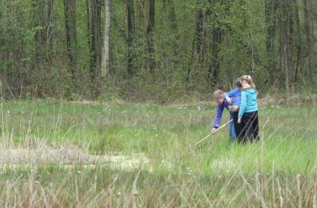 Het Groene Woud. Foto: Paul Grootenboer