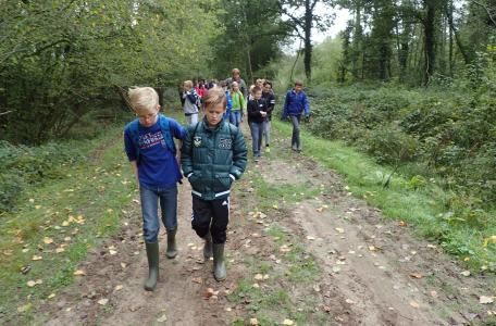 Veldlessen in Het Groene Woud