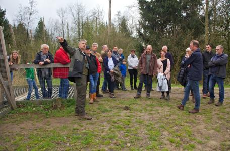 Edelhertenexcursie in Het Groene Woud