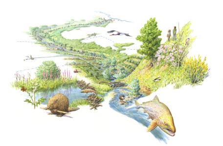 Toekomstvisie Gulpdal