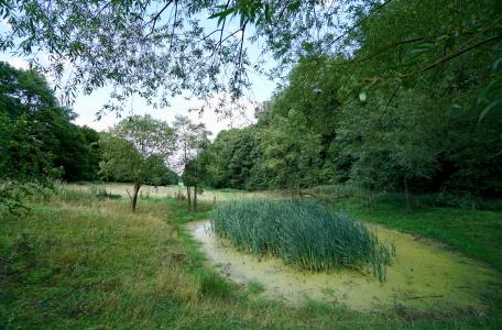 Langer vasthouden van water tegen wateroverlast en voor nieuwe natuur. Foto: Twan Teunissen
