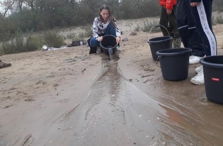 Veldles aan het Haringvliet