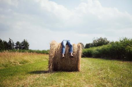 Het Laatste Eiland. Foto: Ruben Hamelink