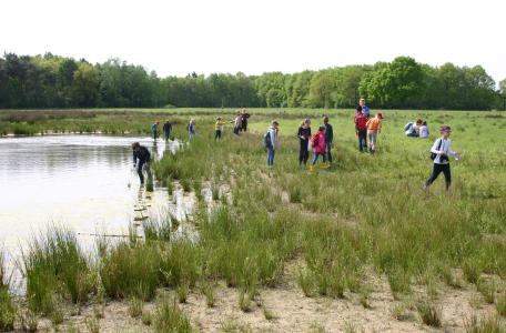 Veldles Kempen~Broek