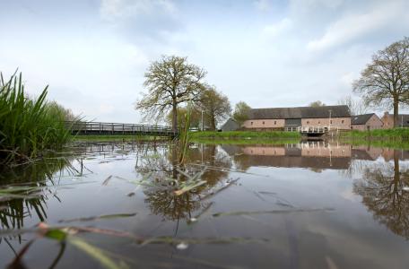 Uitzicht op de Spoordonkse Watermolen. Foto: Kees Beekmans