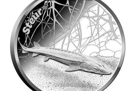 Steur penning in de Wildlife in Nederland collectie