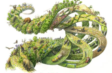 Past, present and future of European nature Past, present and future of European nature